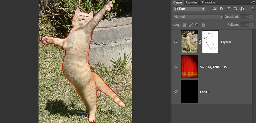 6-gato-contorneado-2