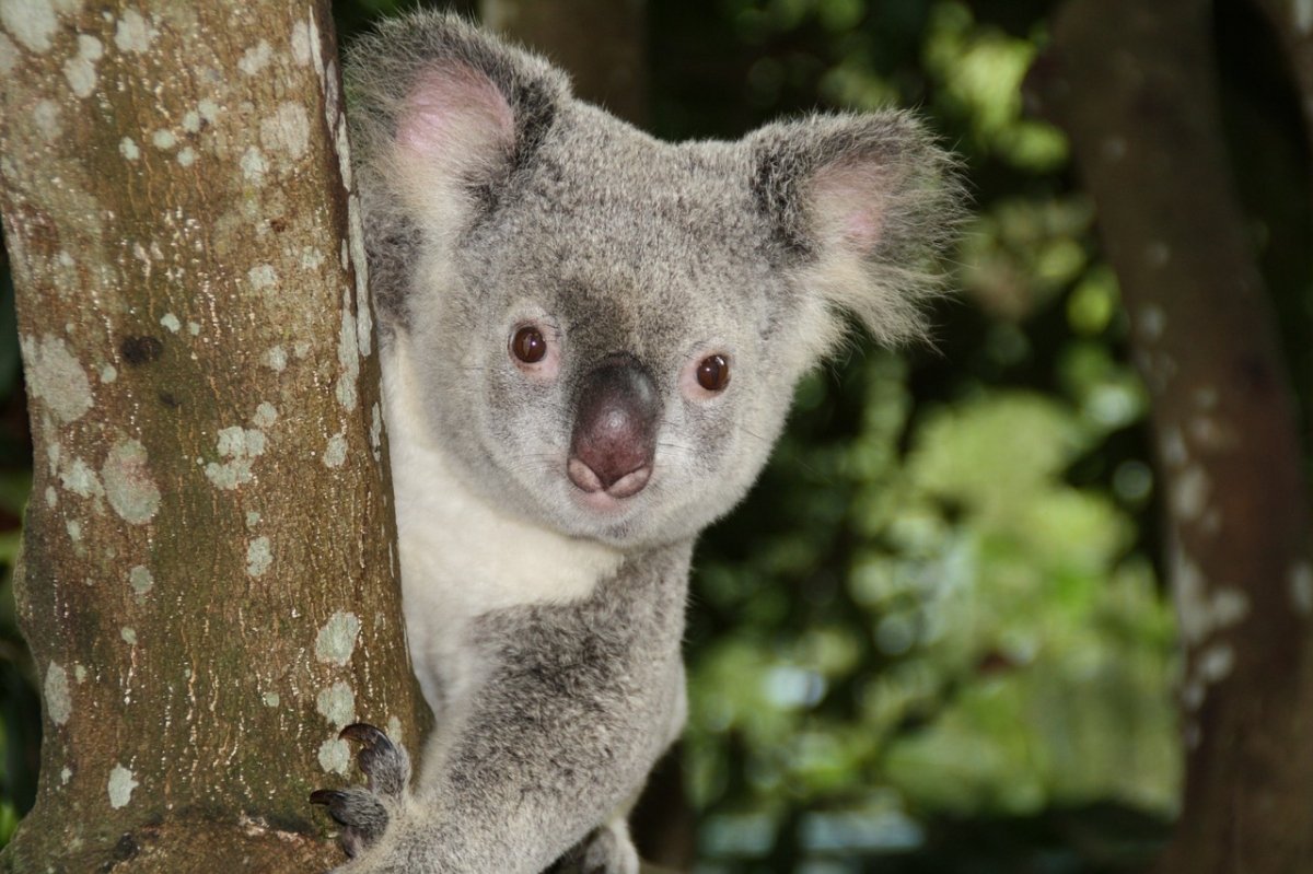 Australia es uno de los países que más videojuegos censura