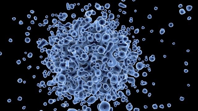 Células infectadas por un virus
