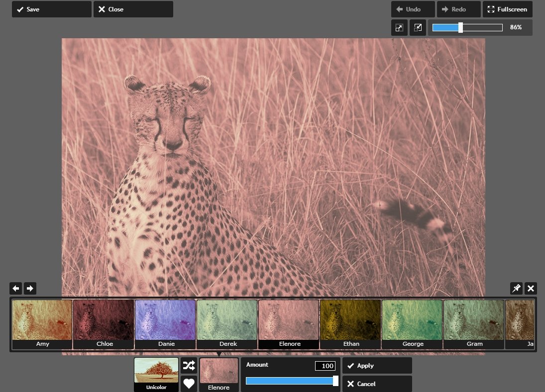 Con Pixlr puedes aplicar filtros y efectos y ver los resultados en tiempo real