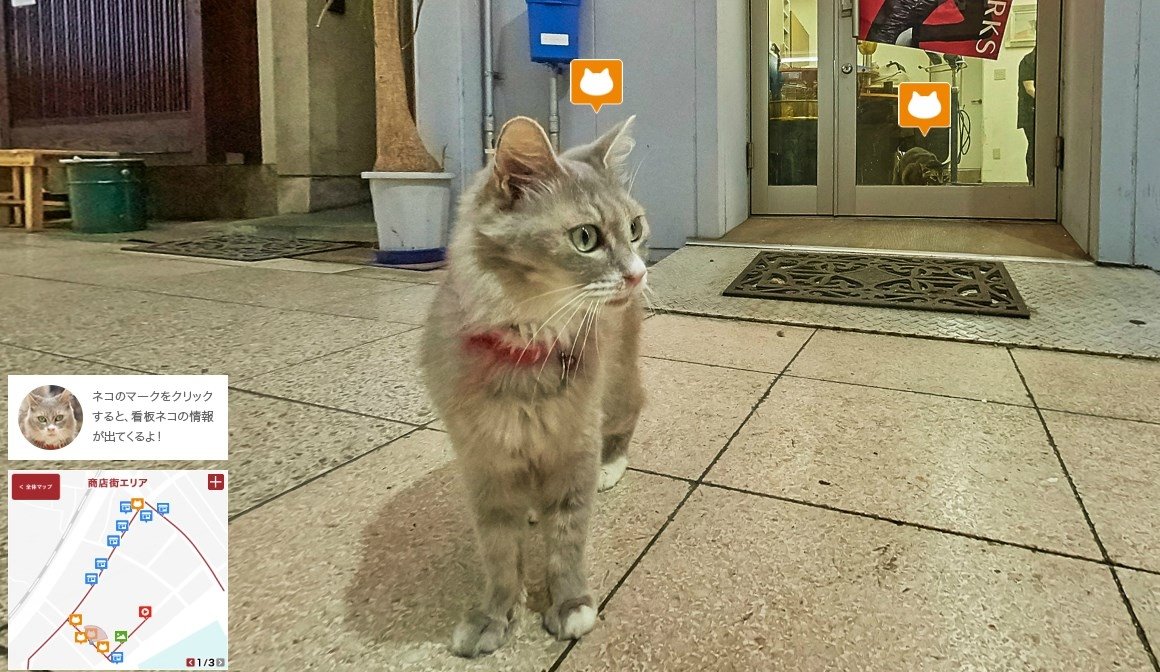 Gatete por las calles de Onomichi