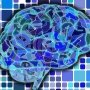 Apps para entrenar el cerebro y la memoria. ¿De verdad funcionan?