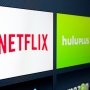 UltraDNS siembra el pánico dejando al mundo sin Netflix 90 minutos