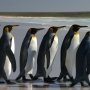 Las mejores distros Linux para aparcar Windows y Mac