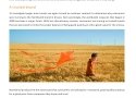 Novedades importantes en las apps de Office para dispositivos móviles - imagen 4