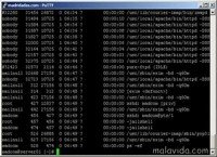 Telnet