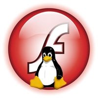 Flash 10 64bit