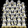Ubuntu Developer Week