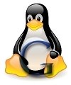 Chrome Linux
