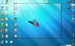 Windows 7