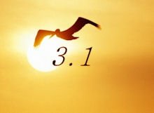 OpenOffice 3.1
