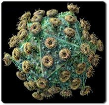 HomeAntivirus 2009