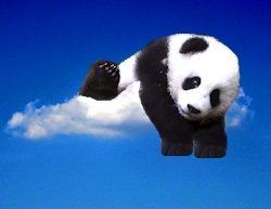 Panda Cloud Antivirus