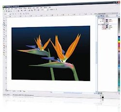 CorelDraw Suite