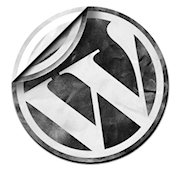 WordPress 2.8 beta 1