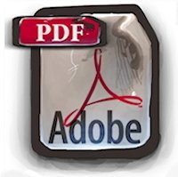 Adobe Reader bugs
