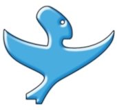 Fallo seguridad Soulseek