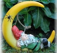 Gnome