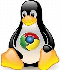 Chrome Linux