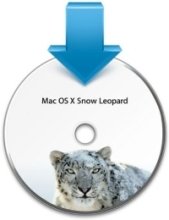 Snow Leopard