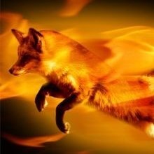 Firefox