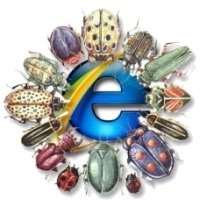 Bug Internet Explorer