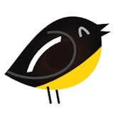 Turpial