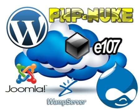 CMS Web