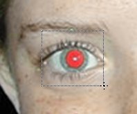 Ojos rojos 13