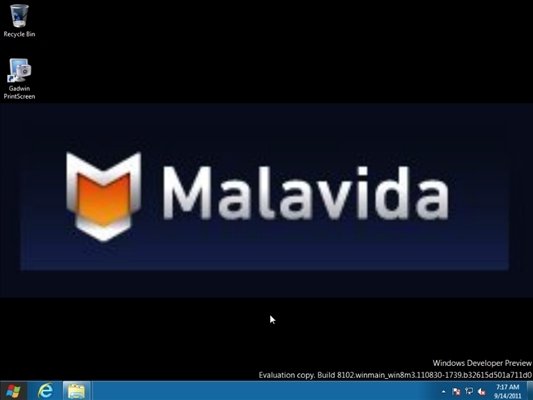 nuevowindows