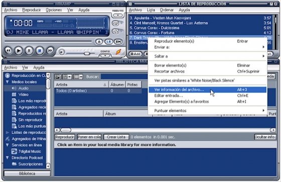 Etiquetas en Winamp 1