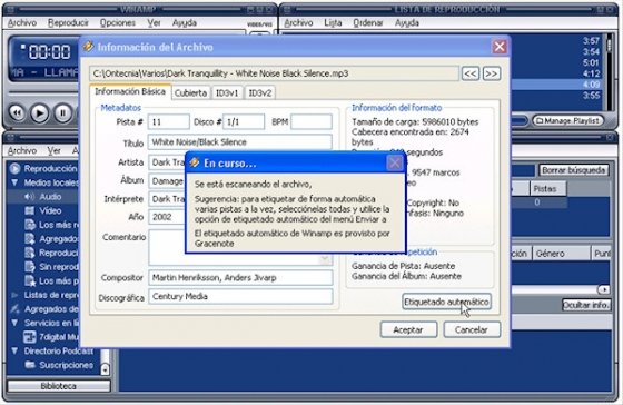 Etiquetas en Winamp 2