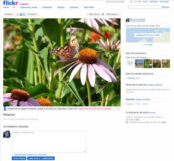 Flickr 1