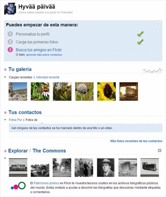 Flickr 2