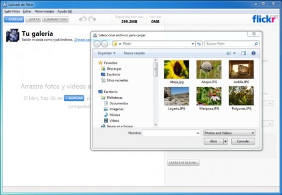 Flickr 6