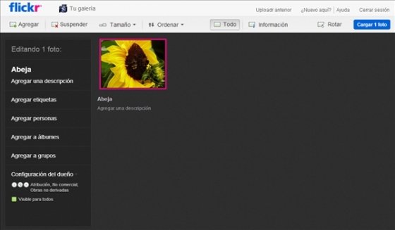 Flickr 7