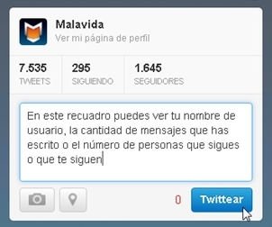 Pantalla de perfil de usuario de Twitter