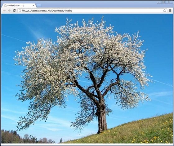 Ver WebP en Chrome