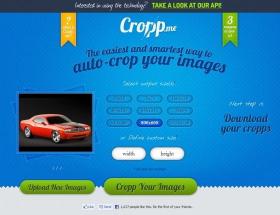 Cambiar el tamaño de una imagen con Cropp.me. Seleccionar el tamaño.