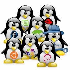 Distintas distribuciones de Linux