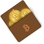 Primeros pasos en el mundo Bitcoin: un lugar seguro donde guardar BTC