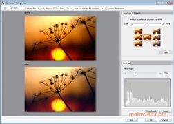 ACDSee Photo Editor  2008 5.0.291 imagen 4