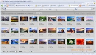 Adobe Photoshop Album Starter  Edition 3.2 Espa�ol imagen 2