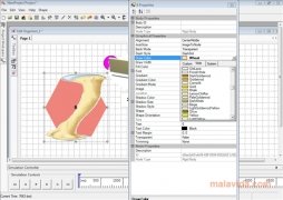 AnimatLab 1.1 imagen 3 AnimatLab 1.1 imagen 3