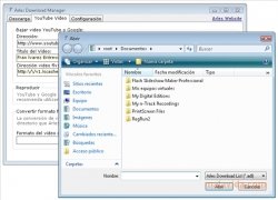 Arles Download Manager  2.0.0.3 Espa�ol imagen 4
