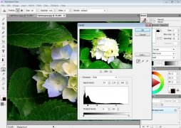 Artweaver 4.5.3 imagen 3 Artweaver 4.5.3 imagen 3