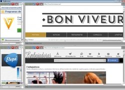 BigBrowser  0.1 imagen 3