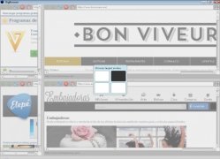 BigBrowser  0.1 imagen 4