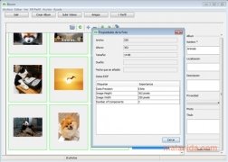 Bloom  2.9.1 Espa�ol imagen 2