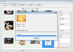 Bloom  2.9.1 Espa�ol imagen 3
